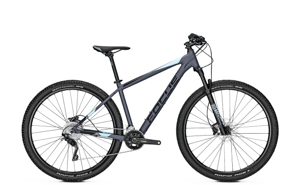 Focus WHISTLER 3.8