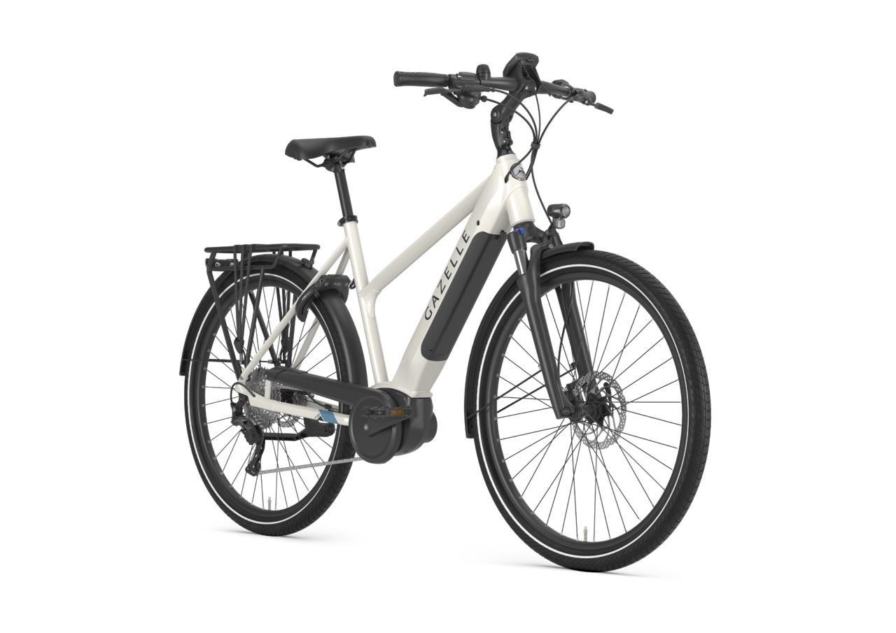 Gazelle E-Bike Werkzeuge kaufen bei HBS