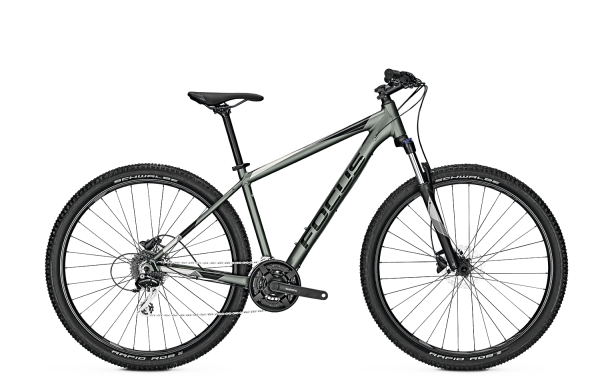 Focus WHISTLER 3.6