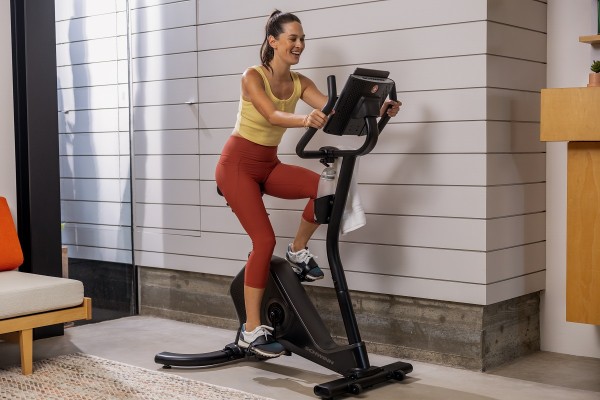 Schwinn Ergometer 590U